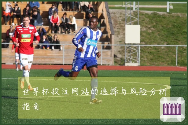 世界杯投注网站的选择与风险分析指南