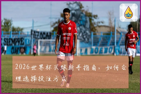 2026世界杯买球新手指南，如何合理选择投注方式