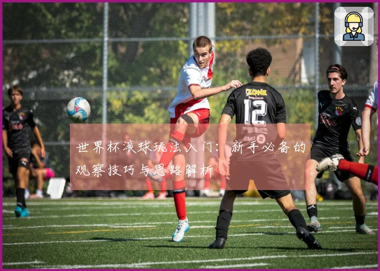 世界杯滚球玩法入门：新手必备的观察技巧与思路解析