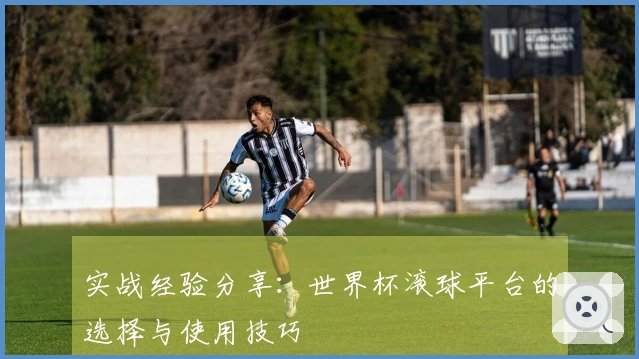 实战经验分享：世界杯滚球平台的选择与使用技巧